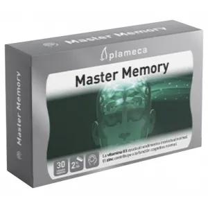 Master Memory
