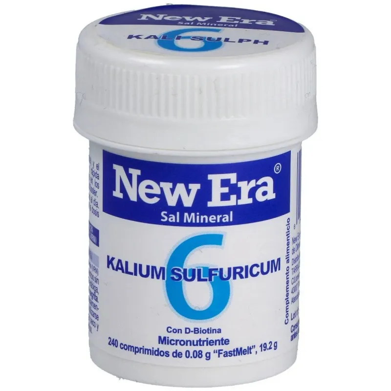 New Era 6