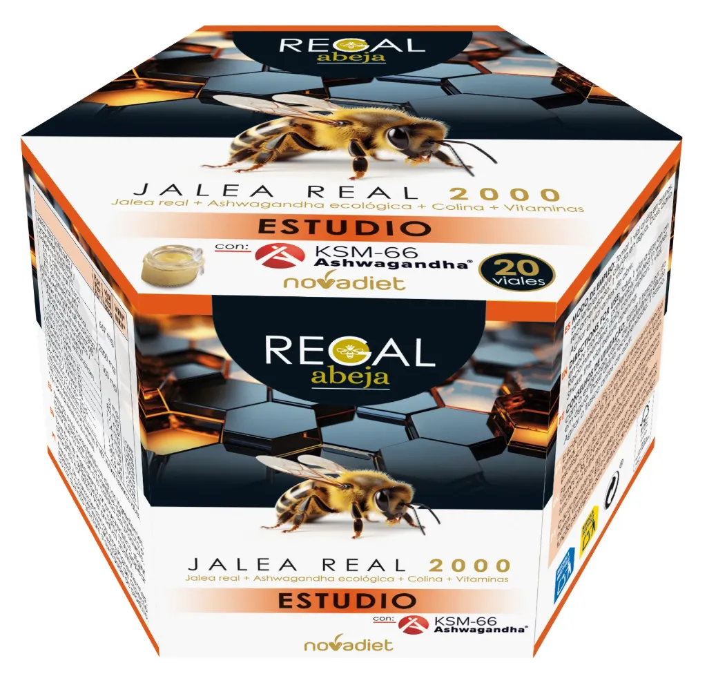 Regal Abeja Estudio